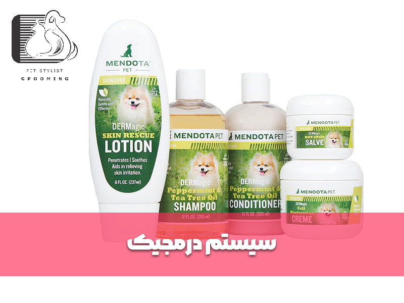 سیستم درمجیک